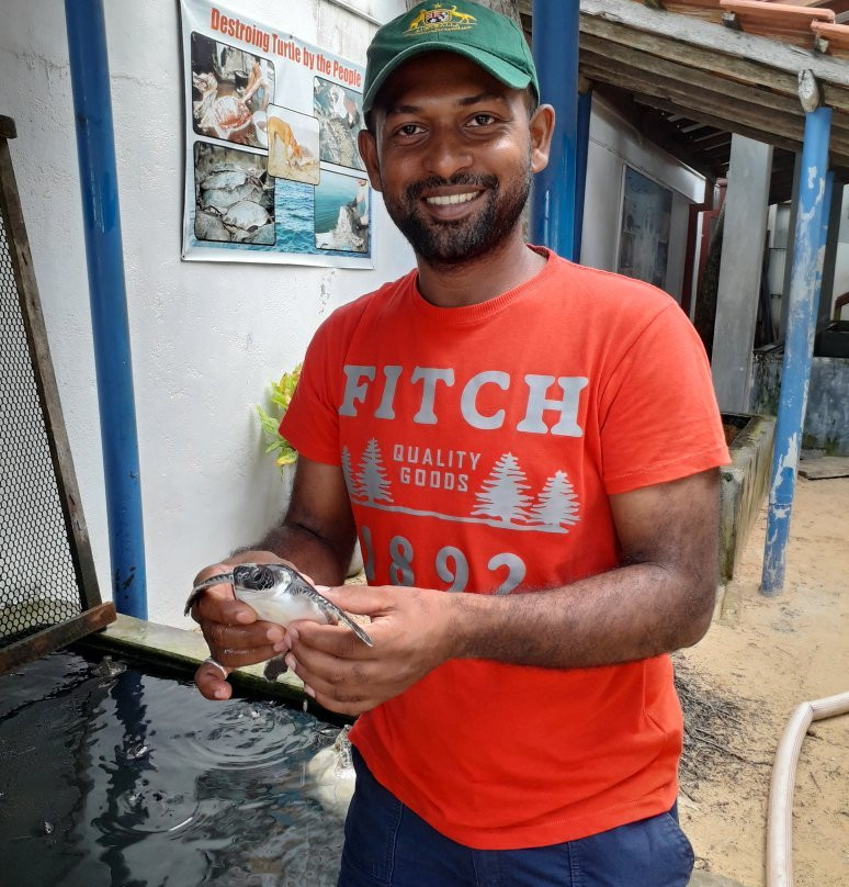 Kolonna旅游攻略图片