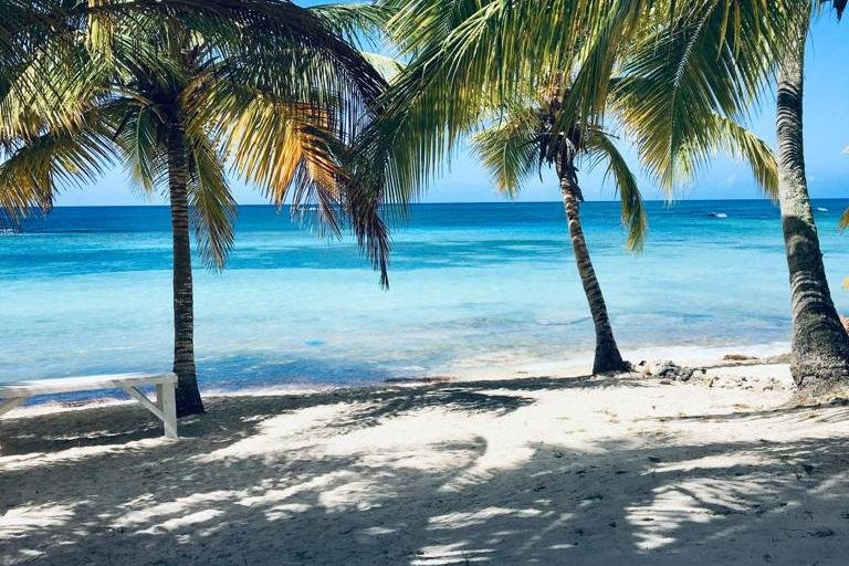 Saonaviptours-Isla Saona必去景点