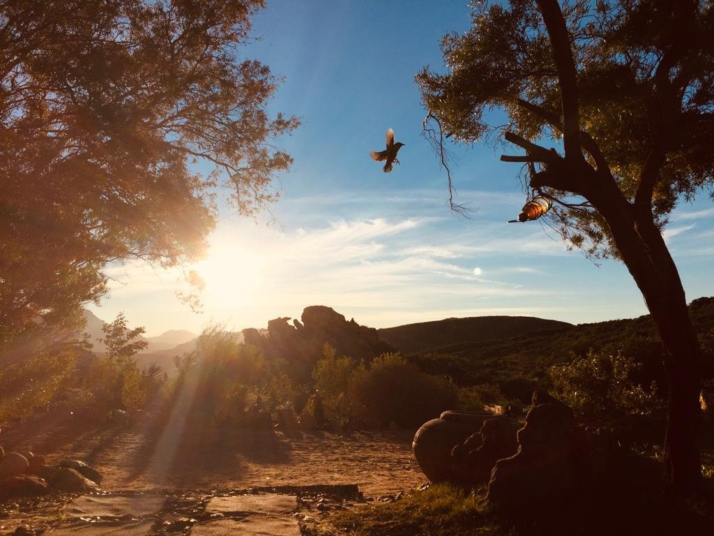 Gecko Creek Wildnerness Lodge主图