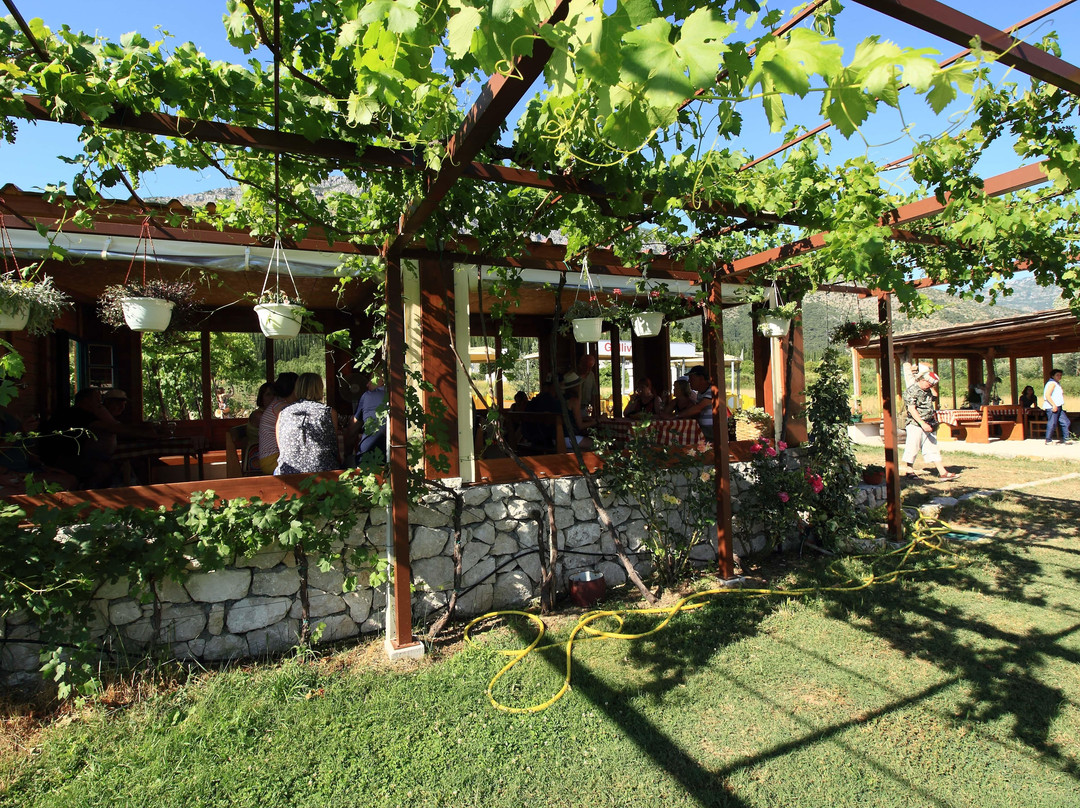 Wine Bar Vodopic景点图片