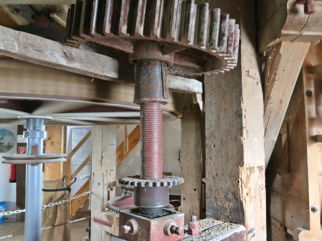 Aschwardener Mühle-Schwanewede必去景点