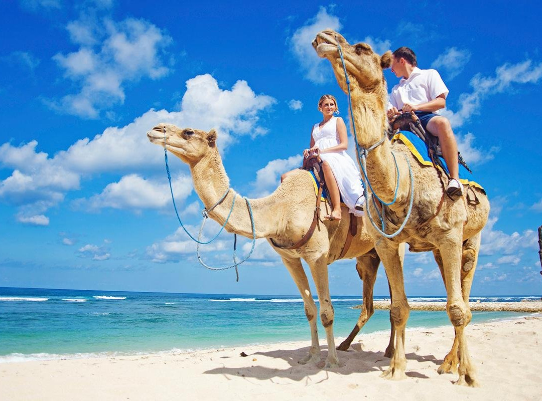 Tours Mexico-卡波圣卢卡斯必去景点