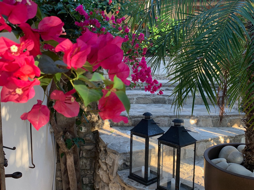 Little Lodge Guest House主图