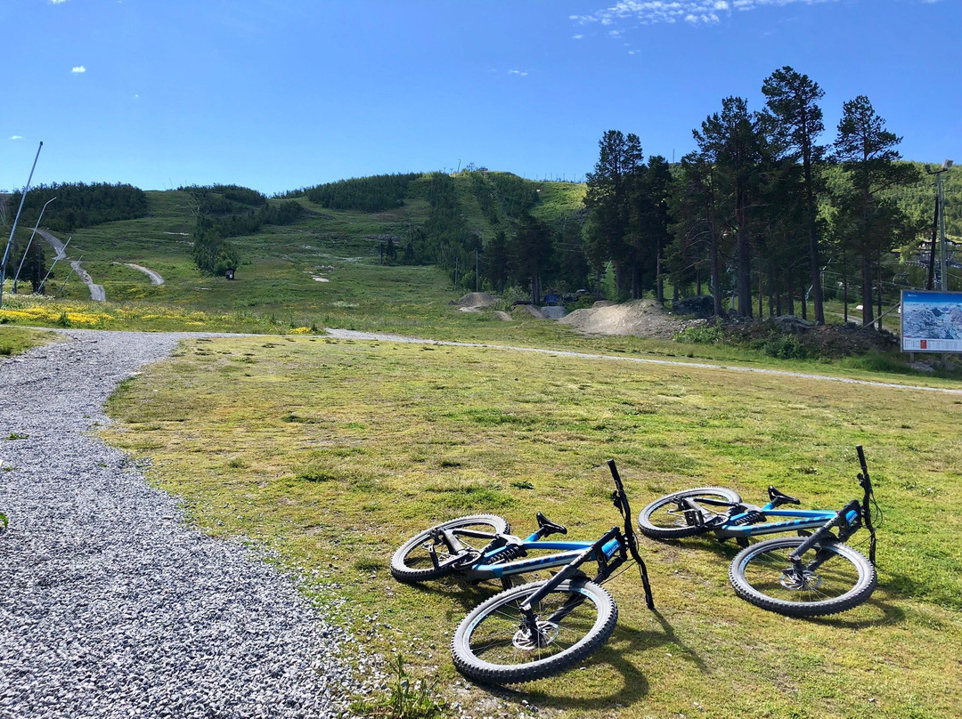 Skigeilo Aktivitetspark景点图片