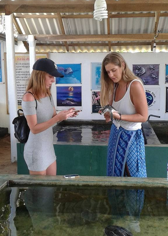 黑卡杜瓦海龟孵化场-希克杜沃必去景点