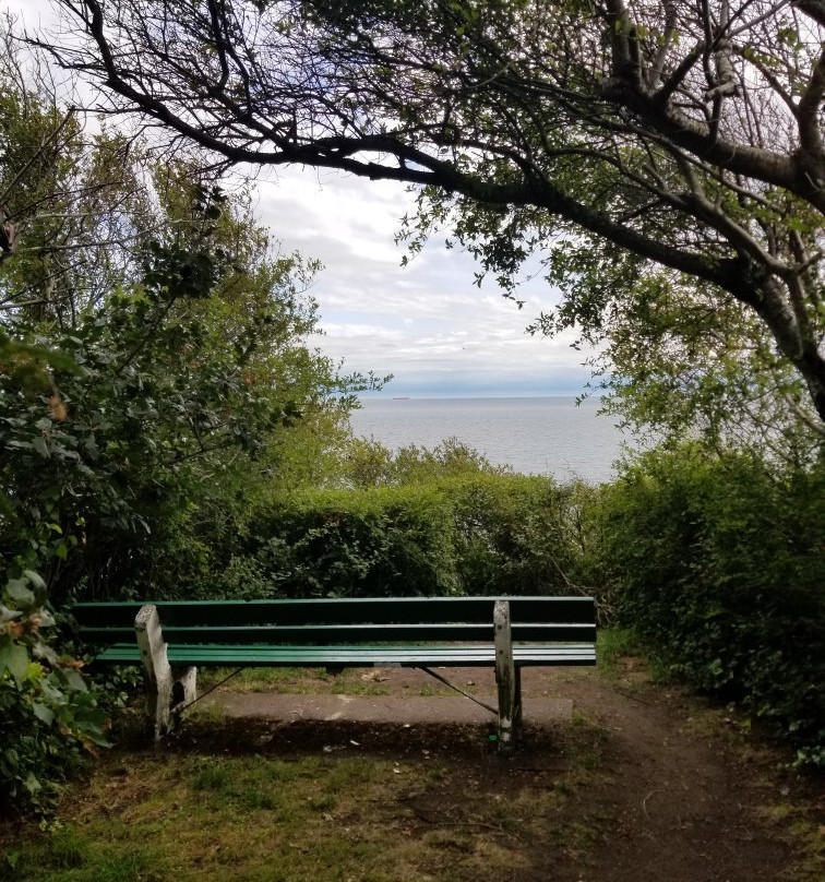 Dallas Road Beach-维多利亚必去景点