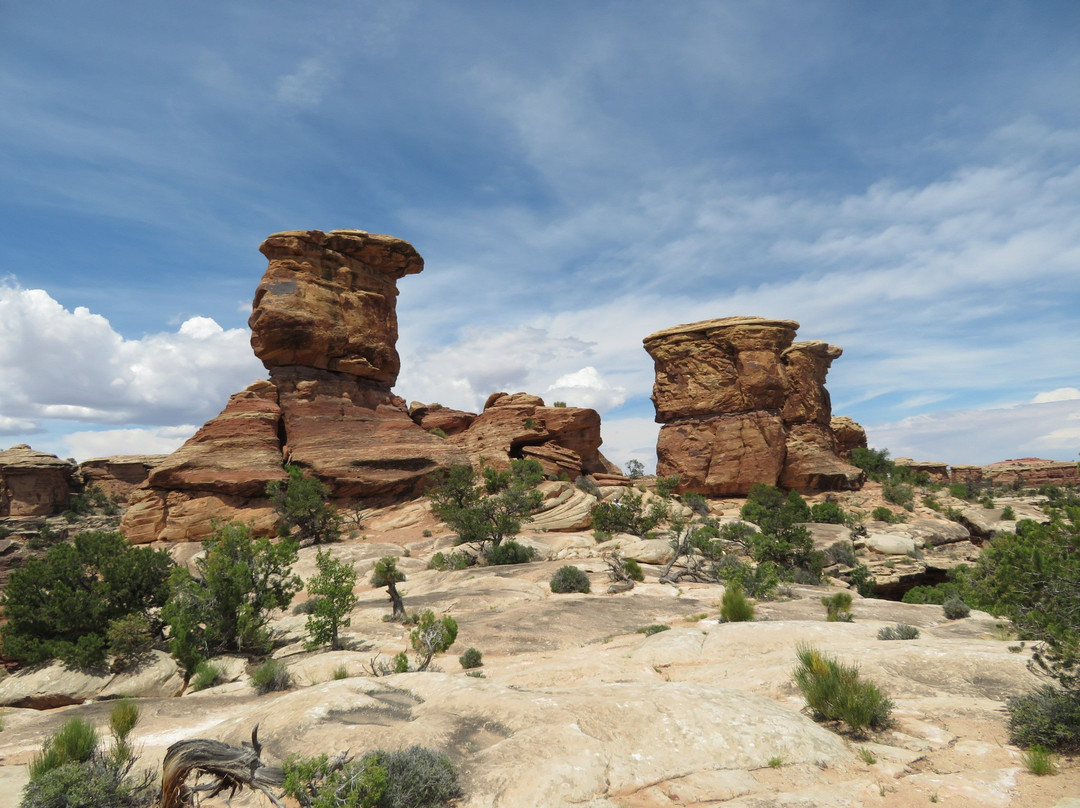 Big Spring Canyon Overlook-峡谷地国家公园必去景点