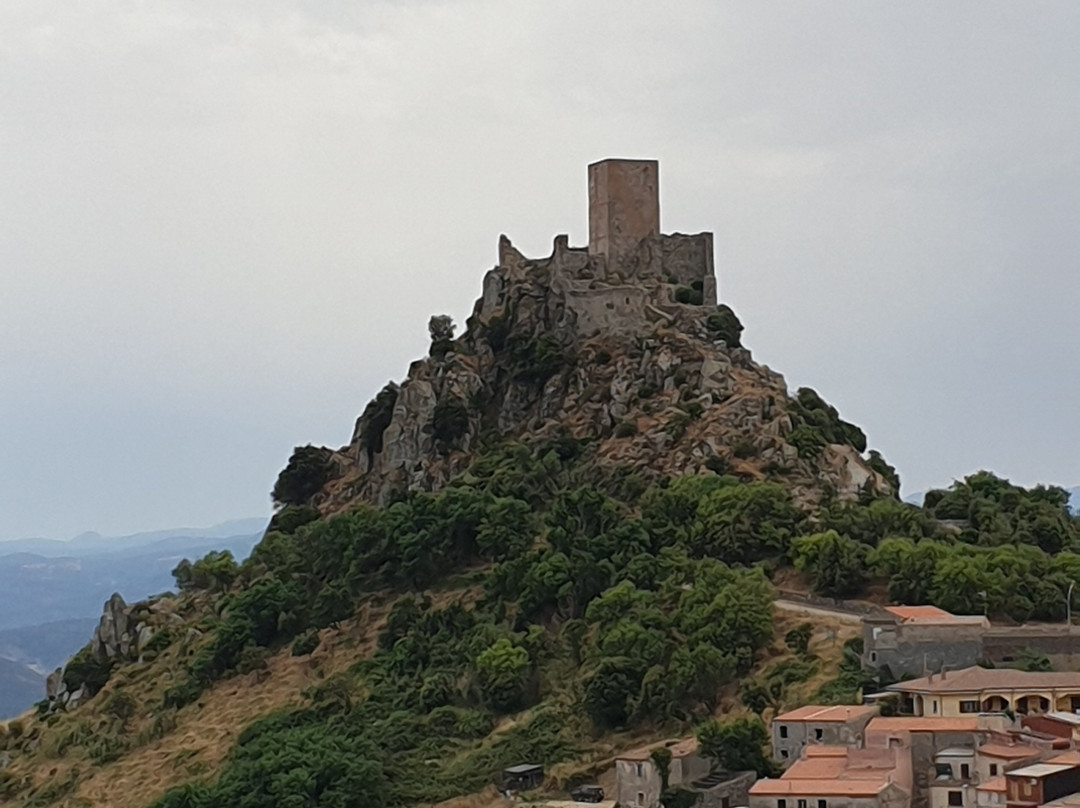 Museo dei Castelli di Sardegna景点图片