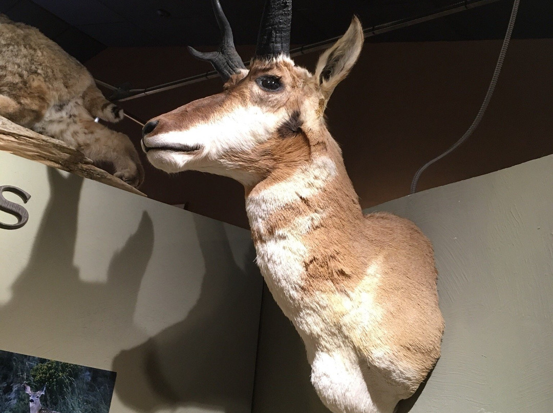 Pioneer Trails Regional Museum-Bowman必去景点