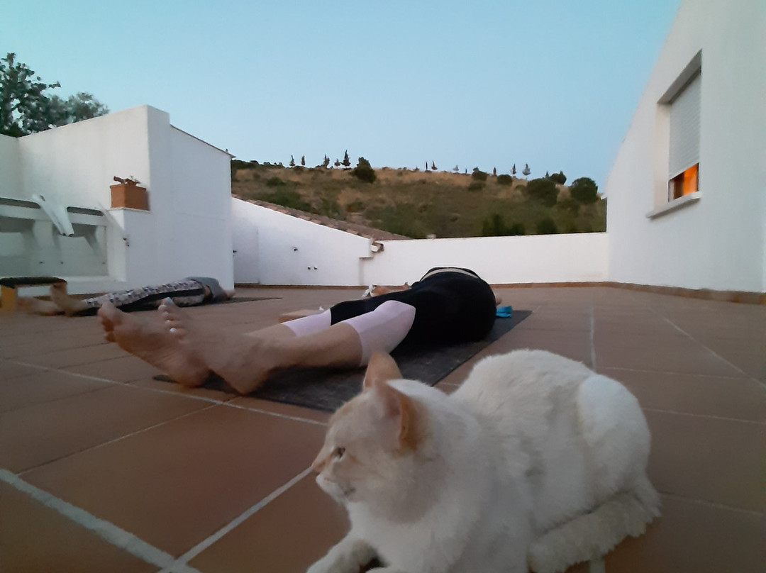 La Fuente Retreat Center主图