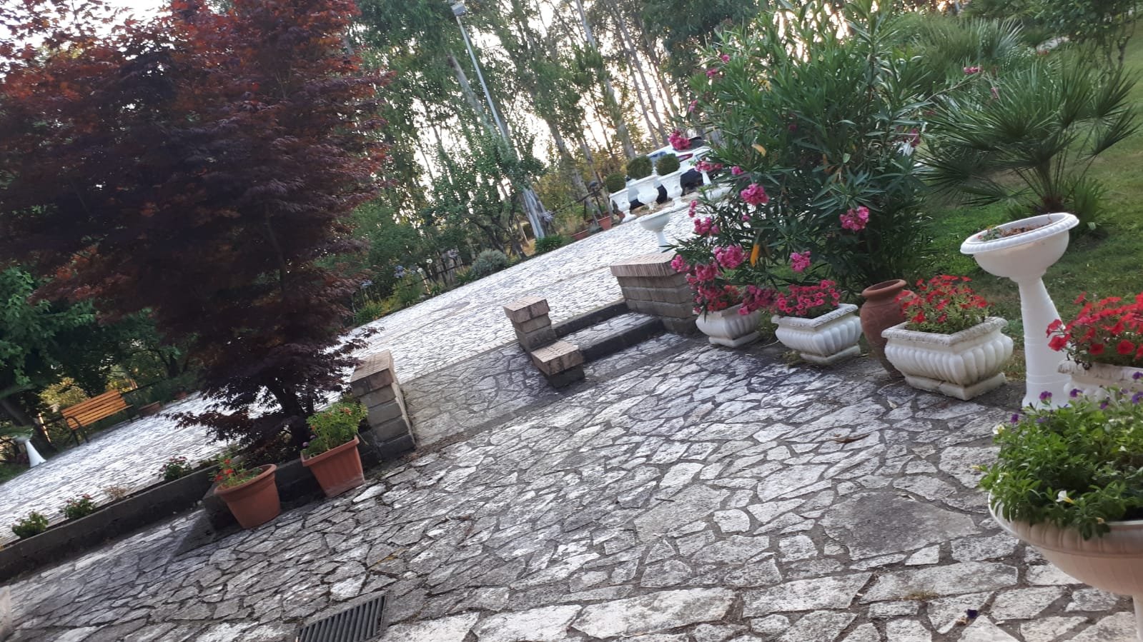 Il Nibbio Reale Country House-官方