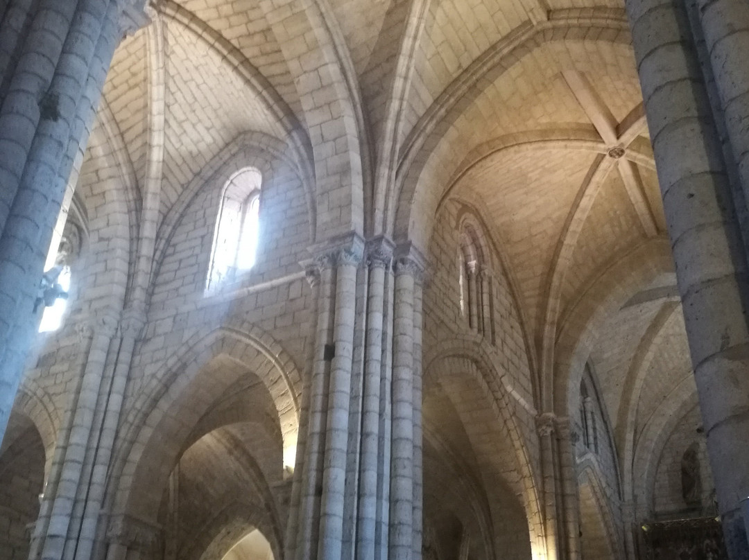 Iglesia de Santa Maria la Blanca景点图片