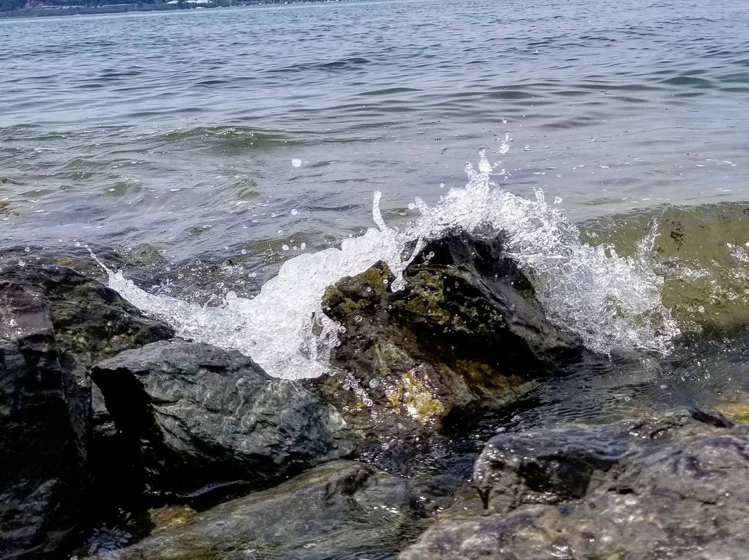 Mackworth Island景点图片