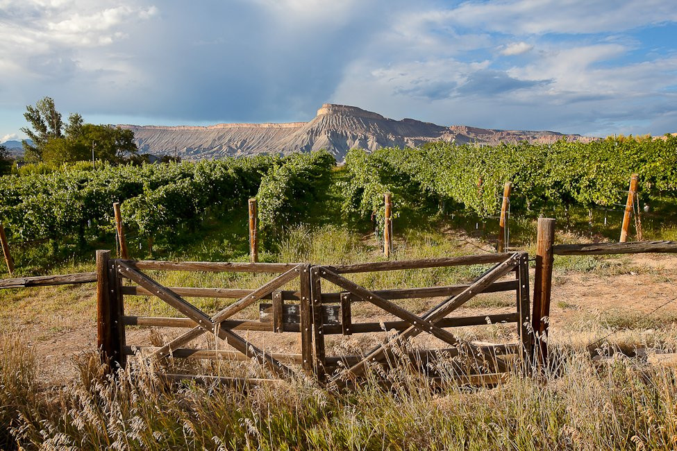 Talbott's Mountain Gold-Palisade必去景点