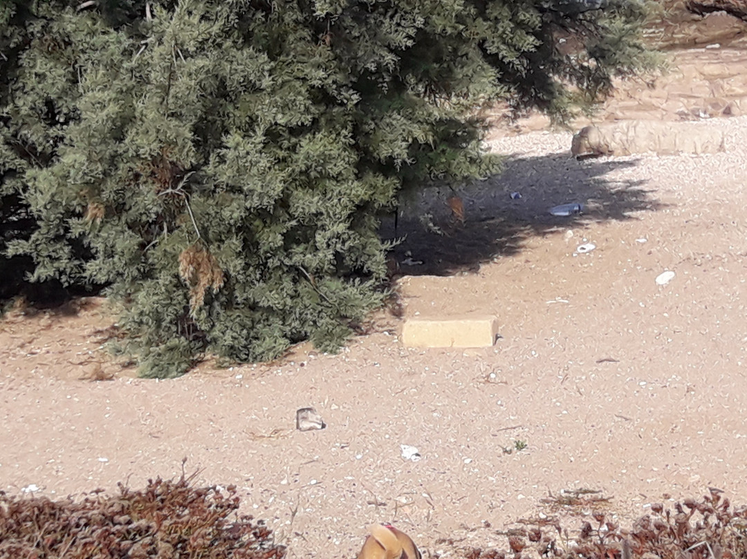 Hecht Park-Haifa必去景点