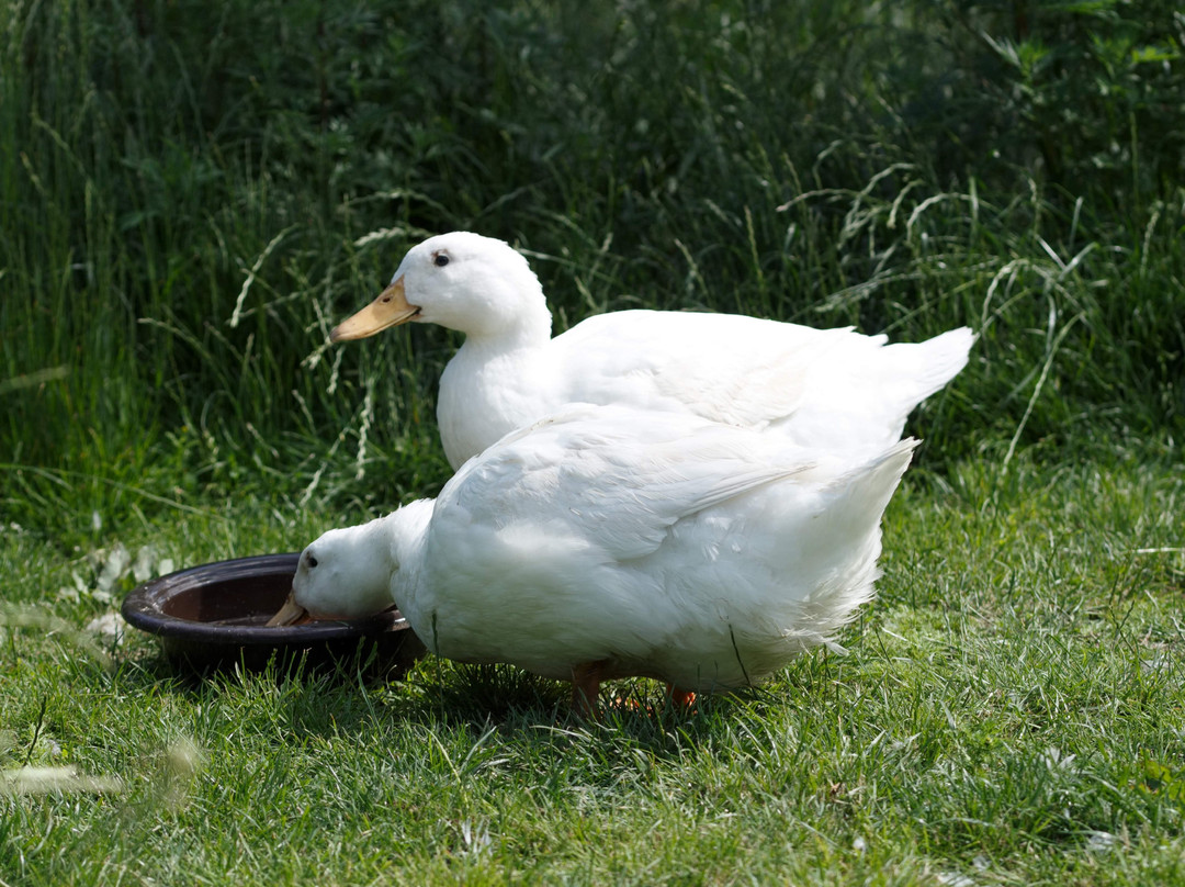 Zanzibar Bed and Breakfast主图