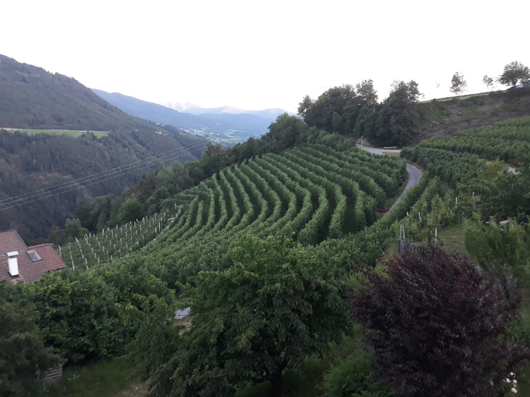 Ferienpension Zummüllerhof