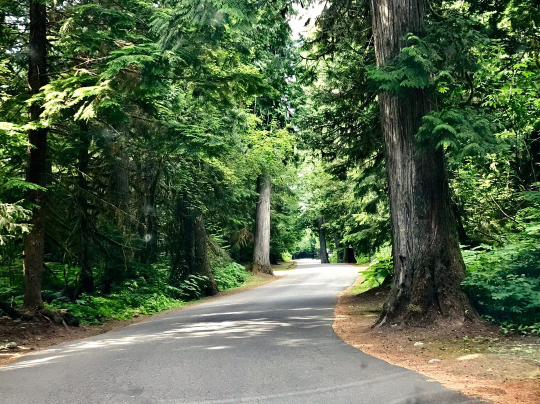 Lakelse Lake Provincial Park景点图片