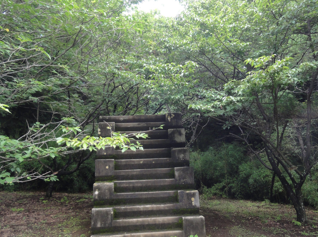 Stairs with 12 Steps for Training-佐仓市必去景点