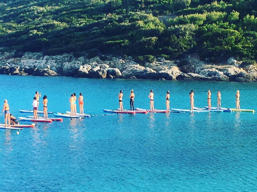 Stand Up Paddle Vis景点图片