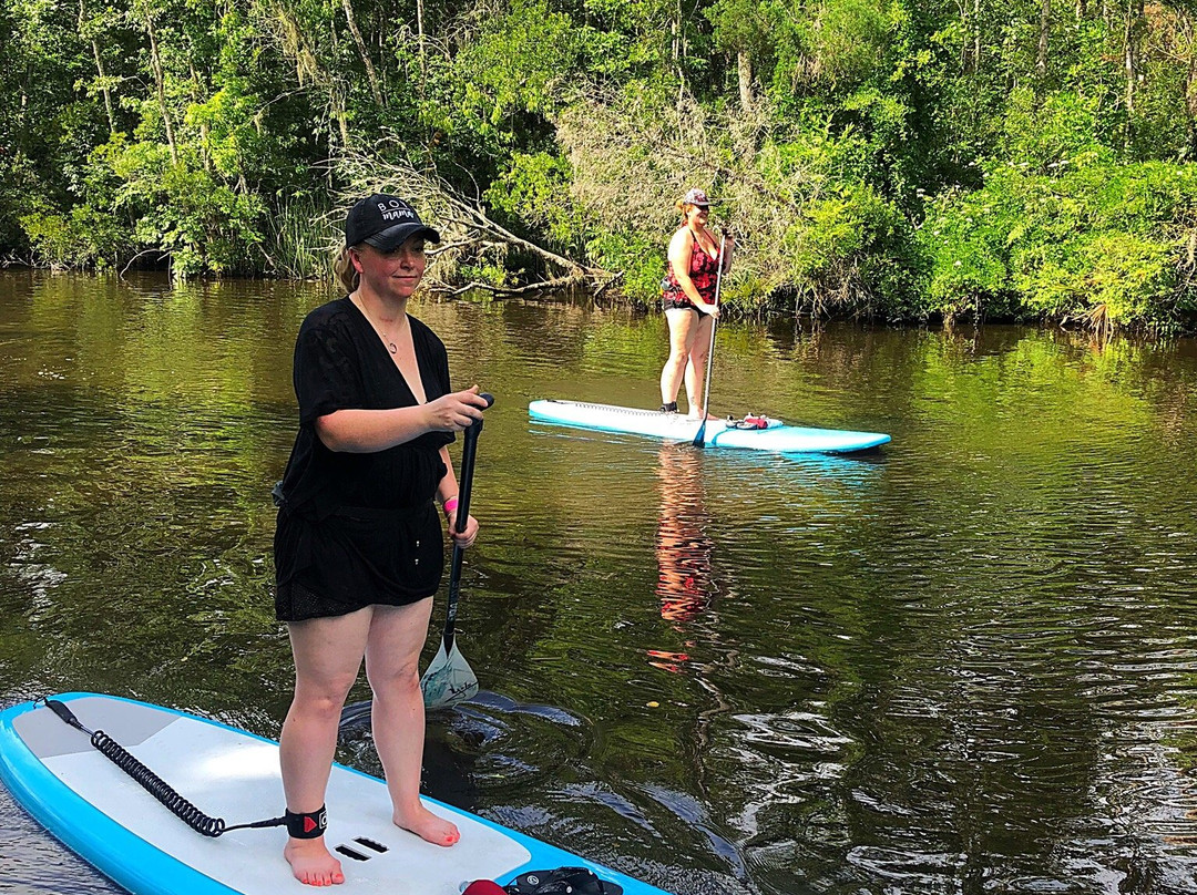 Amelia Island Paddle Surf Company景点图片