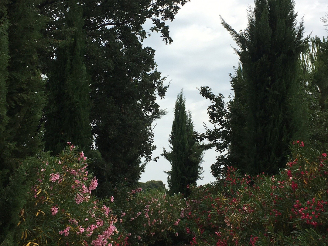 B&B Luna Bianca主图