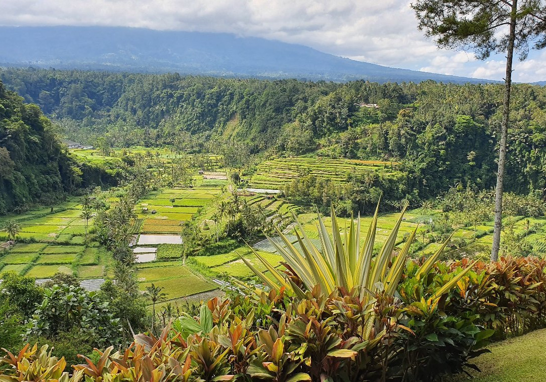 Bali Booking Tour景点图片