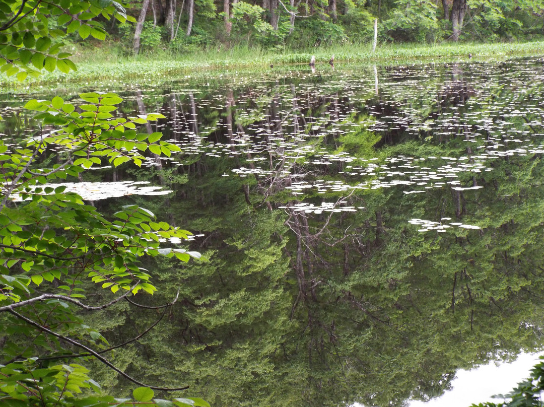 Yanohara Wetlands-昭和村必去景点