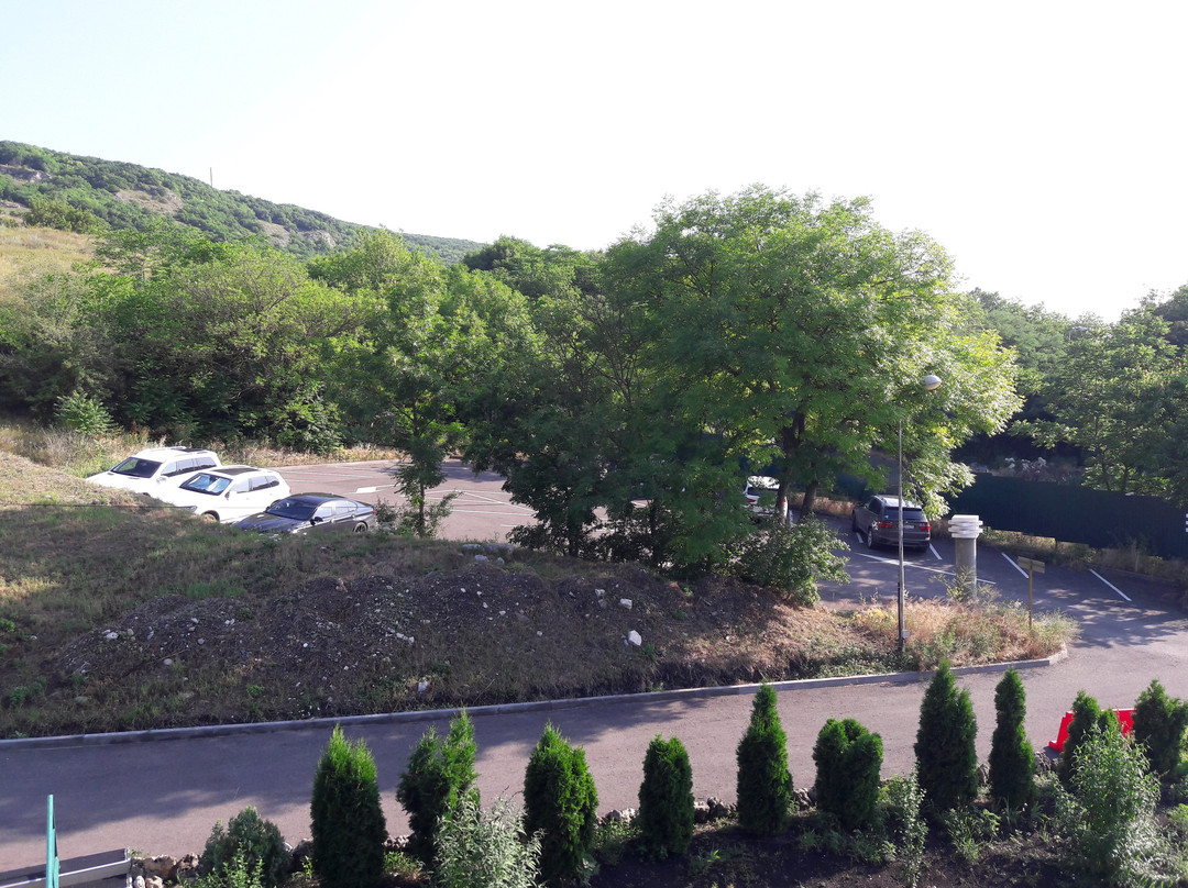 Hotel Park Rodnik主图
