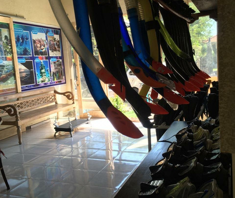 Arum Dive Pemuteran-佩母德兰必去景点