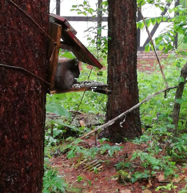 Ezorisukun no Yado Canterbury主图