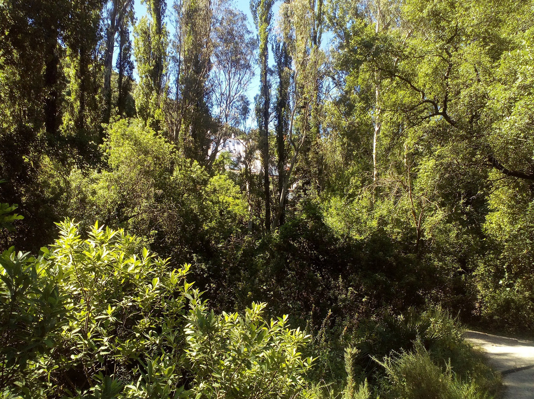 Ecomuseo del Agua Molino de Benamahoma景点图片