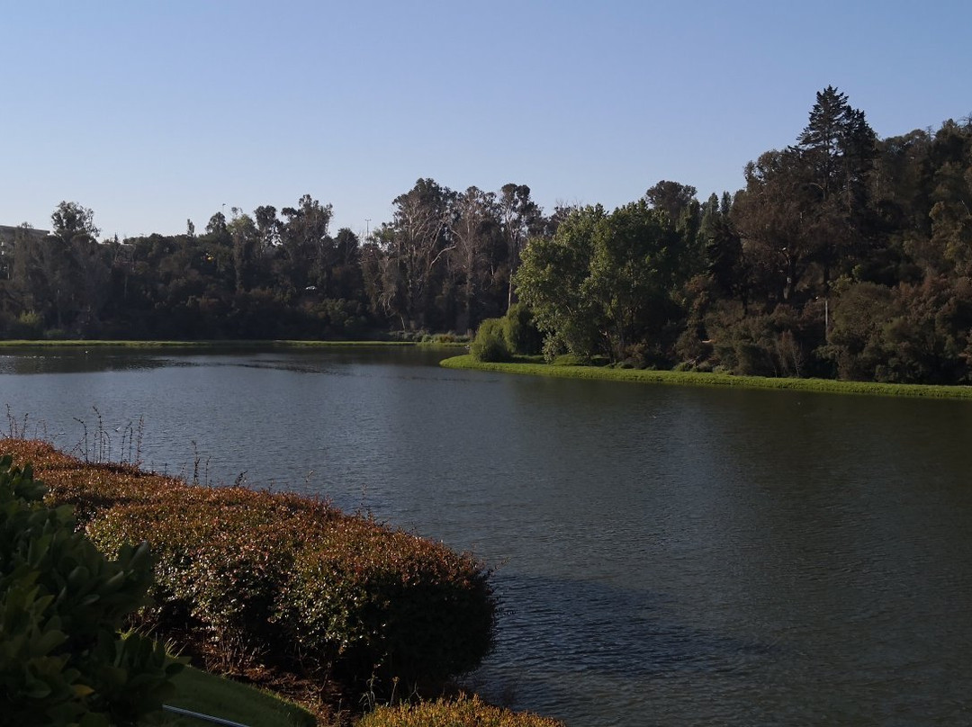 Estadio Sausalito-比尼亚德尔马必去景点