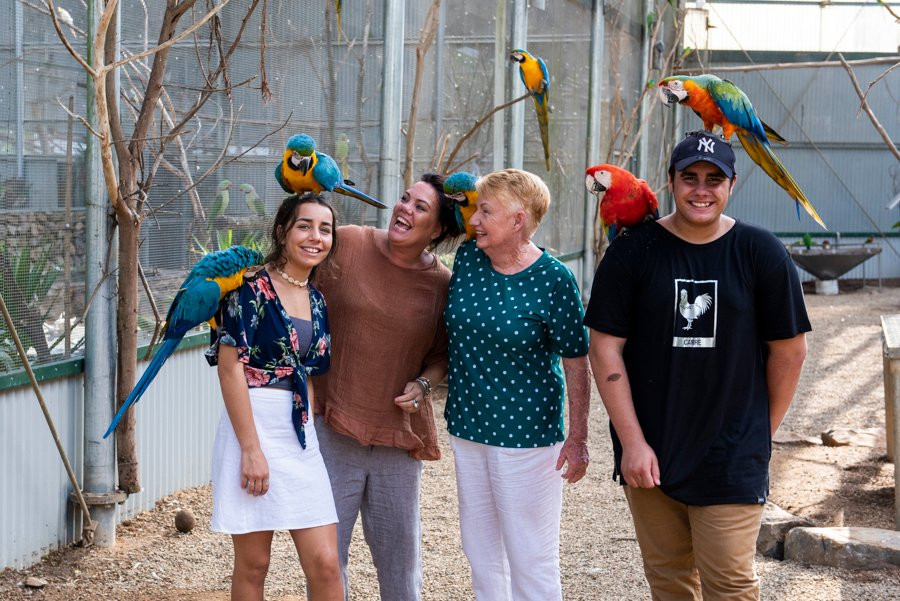 Maleny Botanic Gardens & Bird World景点图片