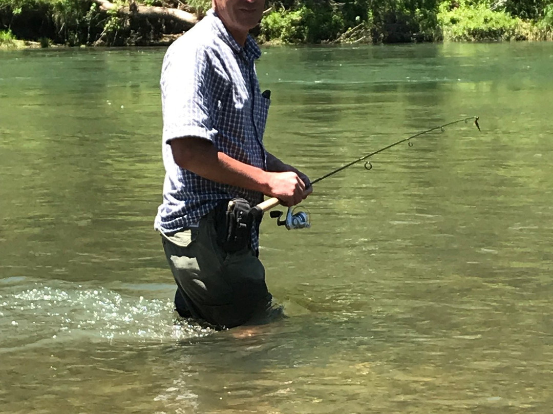 Tree House Cabins at River of Life Farm主图