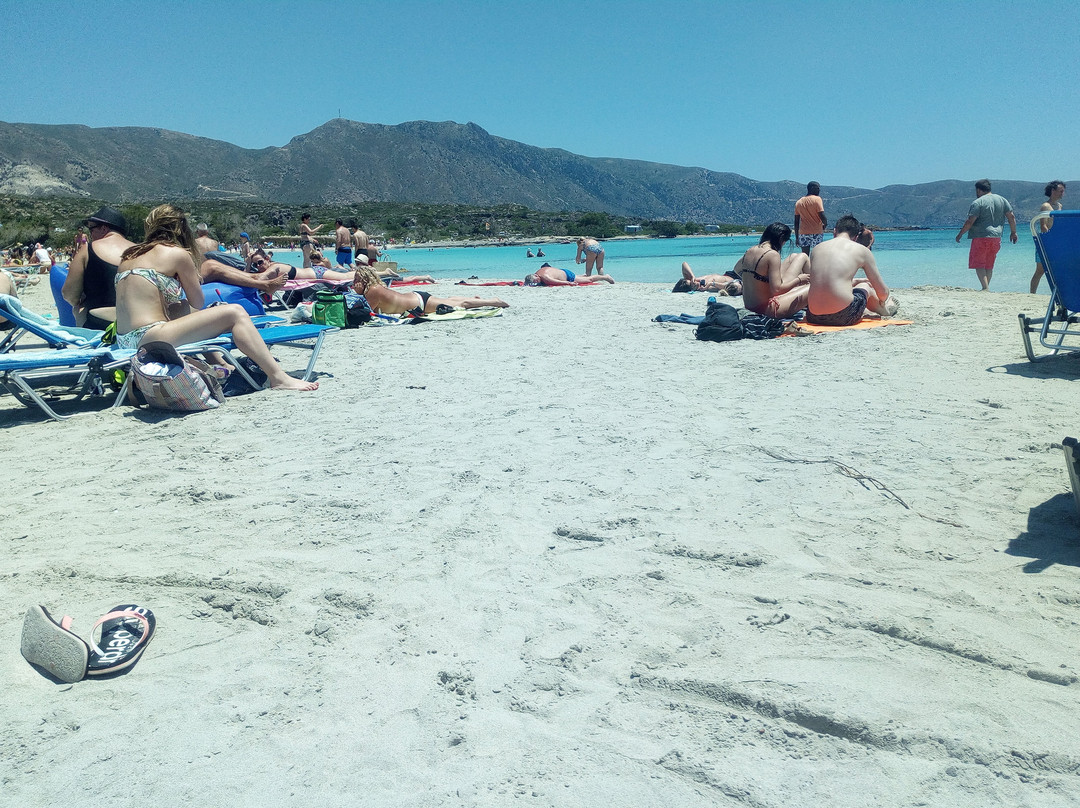 Lotus Hotel Apartments主图