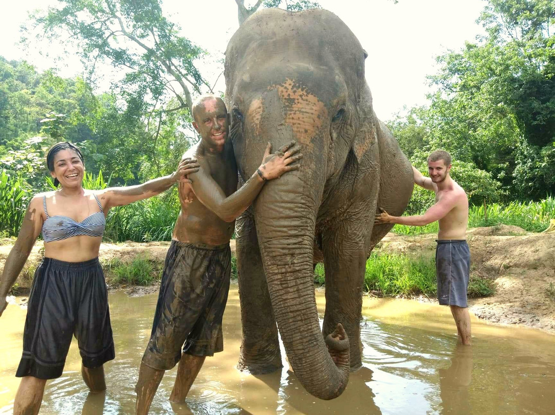 Chiangmai Mountain Sanctuary-清迈必去景点