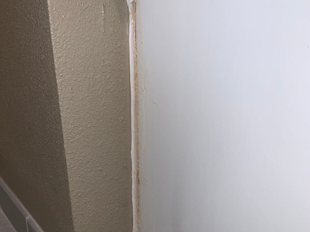 Staybridge Suites Tampa East - Brandon by IHG主图