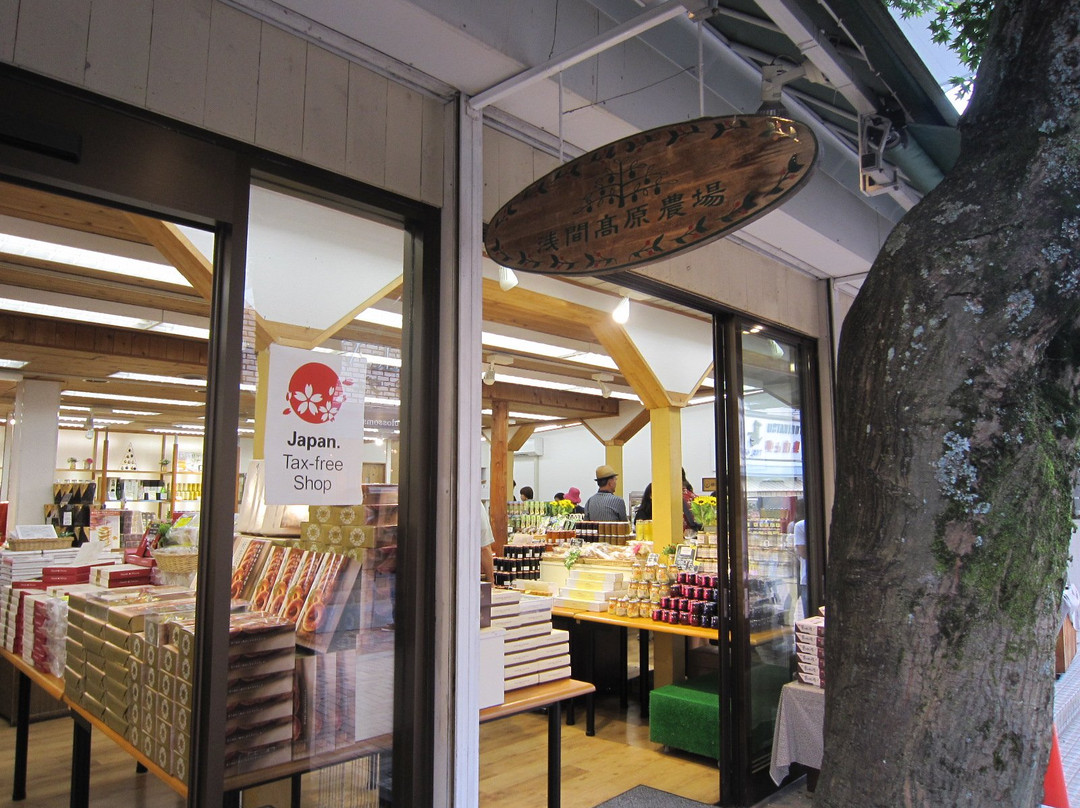 Asama Kogen Nojo Shop-轻井泽町必去景点