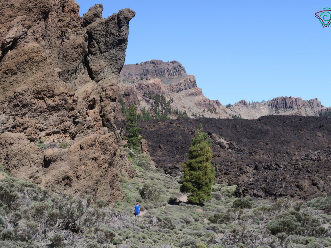 One Day In Tenerife-圣克鲁斯-德特内里费必去景点