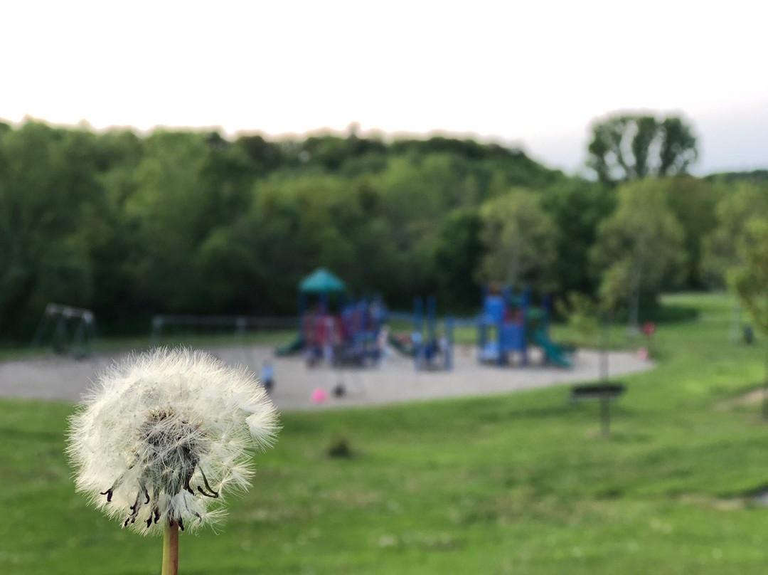 Erindale Park景点图片