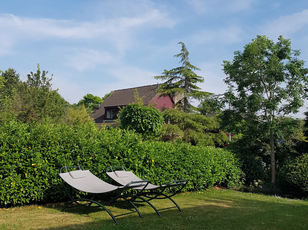 De Pinksterbloem主图