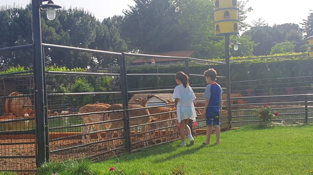 Al Haush 招待所主图