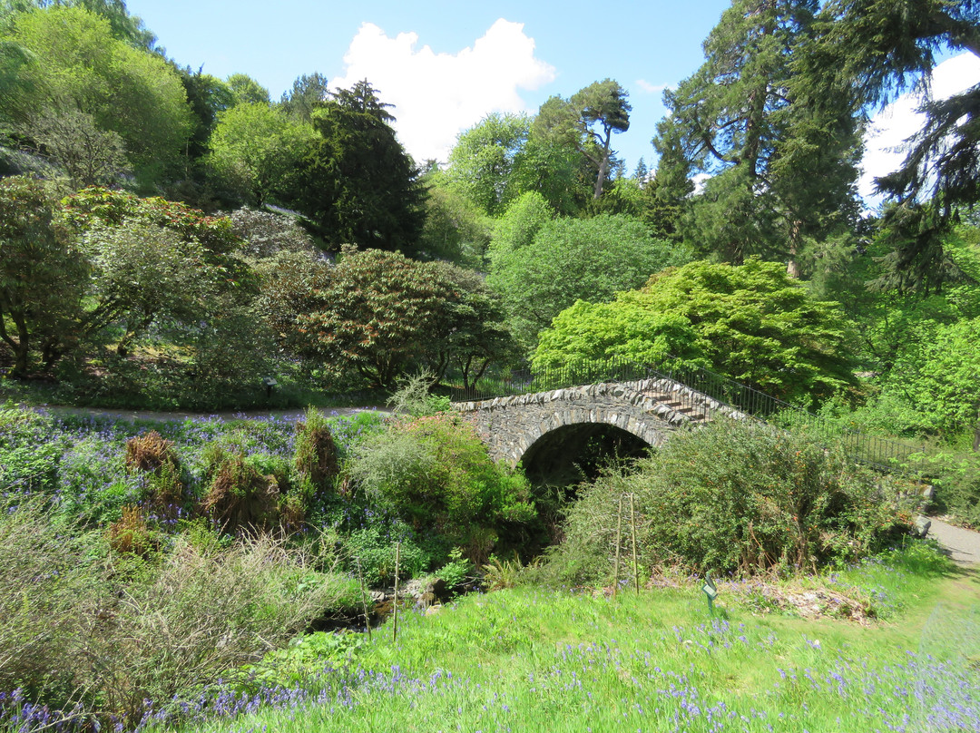 Dawyck Botanic Garden and Cafe景点图片