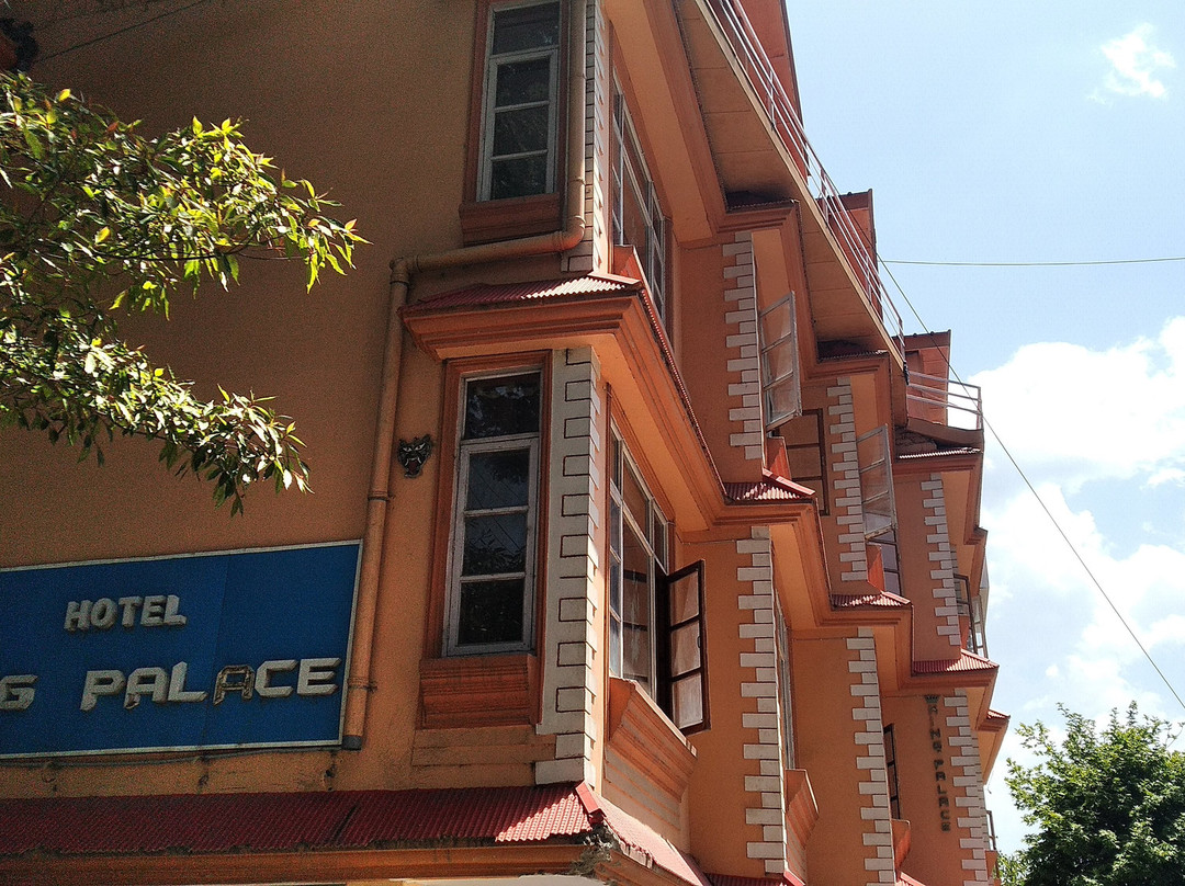 Hotel King Palace Shimla主图