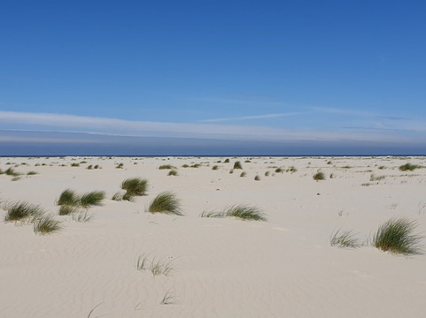 Watt-Baltrum必去景点