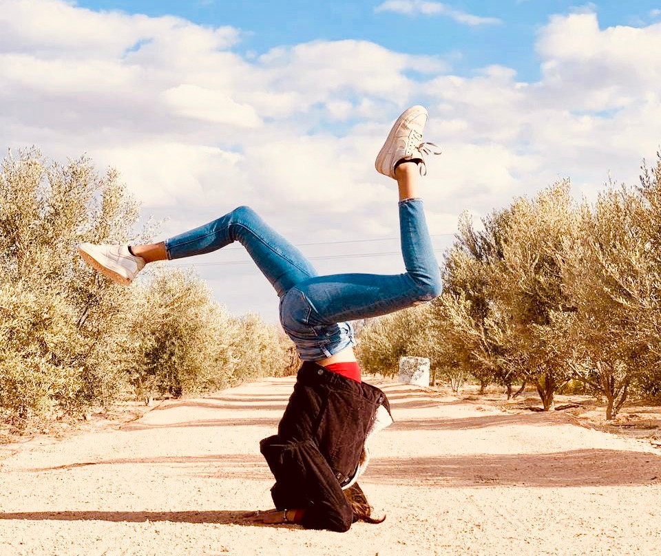 Wiiwii's Farm-吉萨必去景点