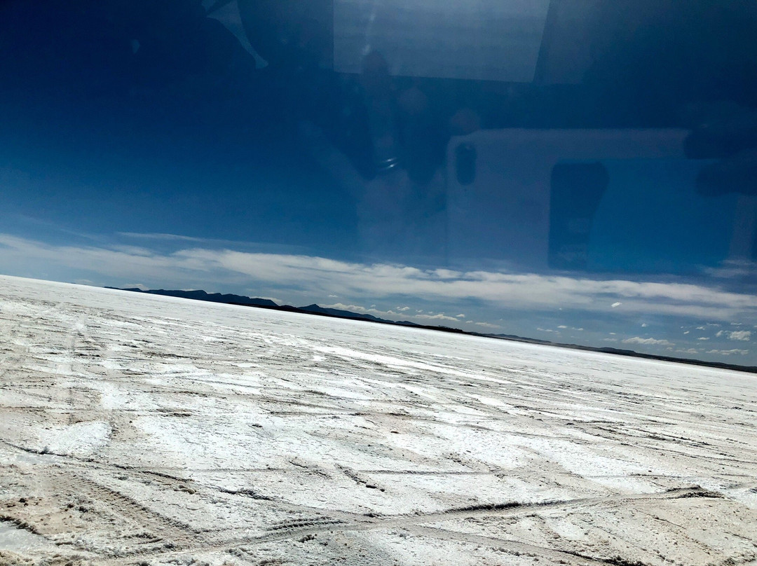Salt Flats Uyuni Expedition -Day Tour景点图片