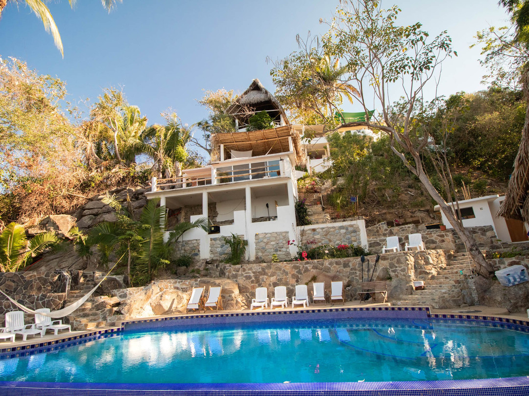 Pura Vida Wellness Retreat