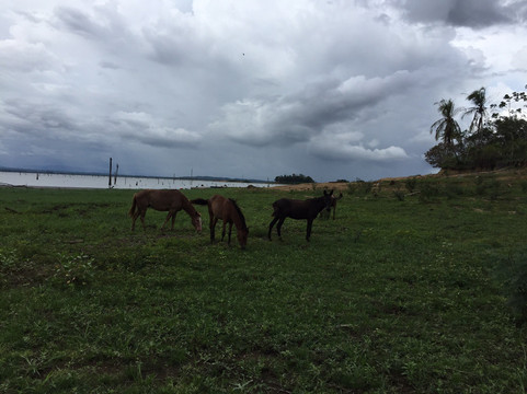 Cuevas De Bayano-Chepo必去景点
